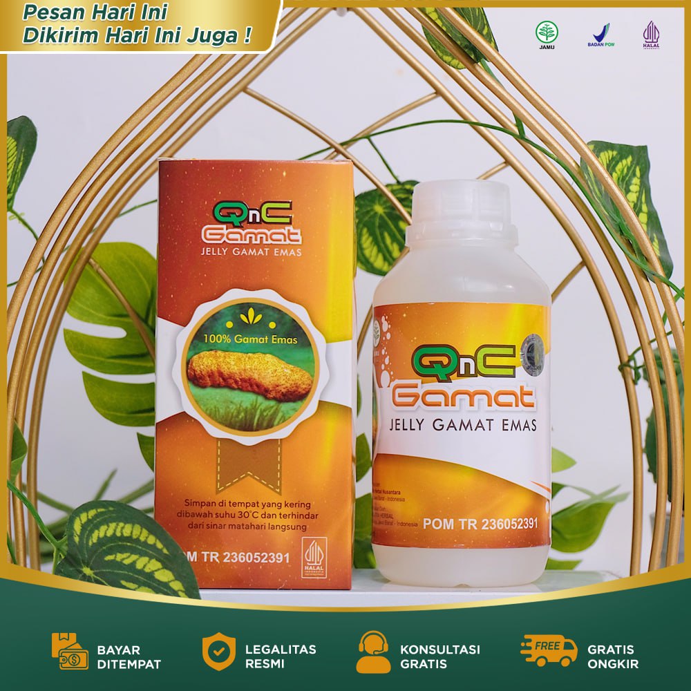 QNC Gamat Jelly Gamat ekstrak gamat emas asli Original Bpom isi 300 ml 2