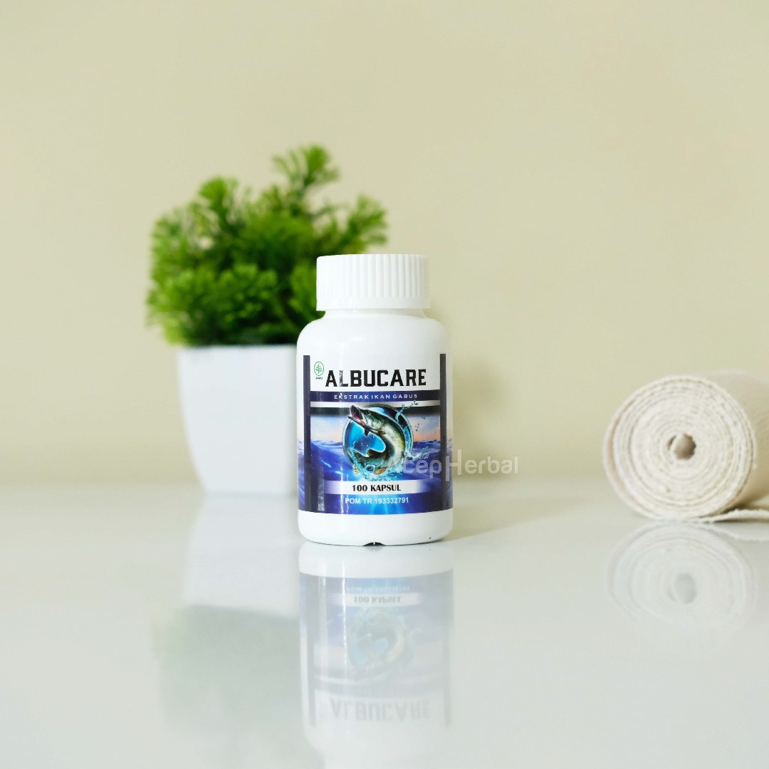 Ekstrak ikan gabus Alburcare kapsul kutuk Suplemen Original Albumin Bpom Halal mui isi 100 kapsul 2
