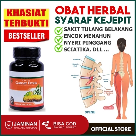 Kapsul Gamat Emas 1 botol isi 50 kapsul suplemen ekstrak teripang emas Halal BPOM 7